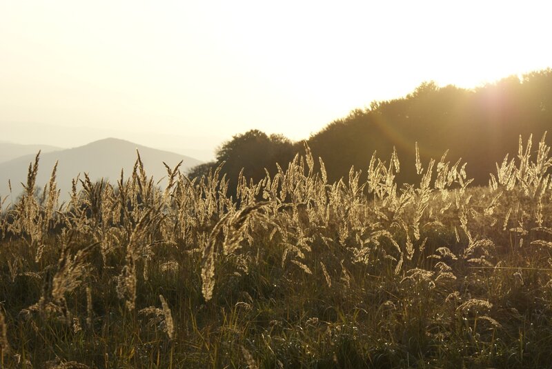 Sunset over a grassy hillside