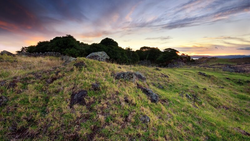 Sunset over a grassy hillside