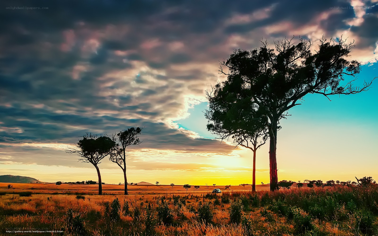 Sunset over a grassy plain