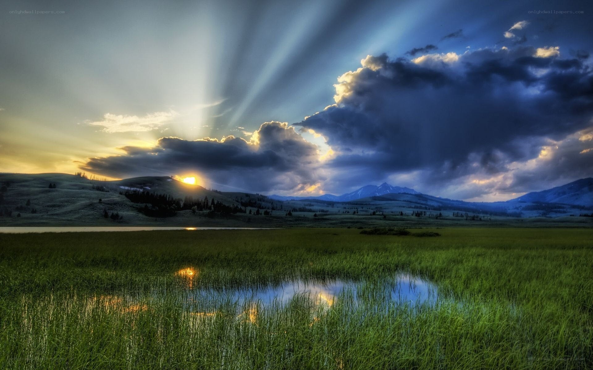 Sunset over a grassy wetland