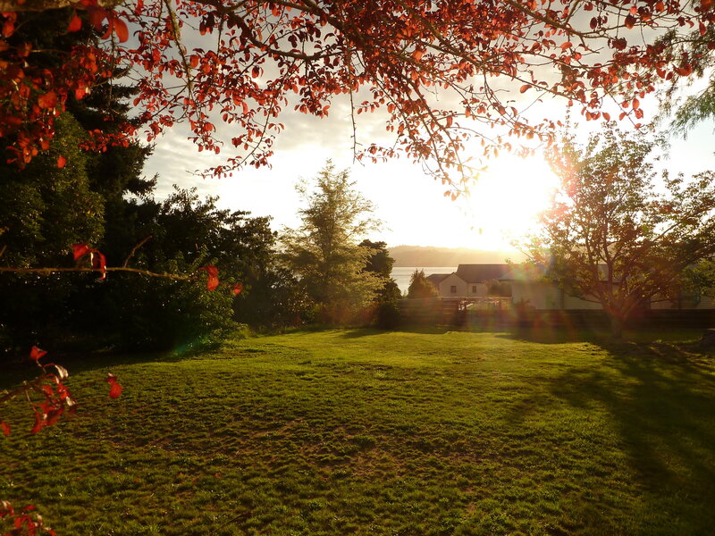 Sunset over a grassy yard