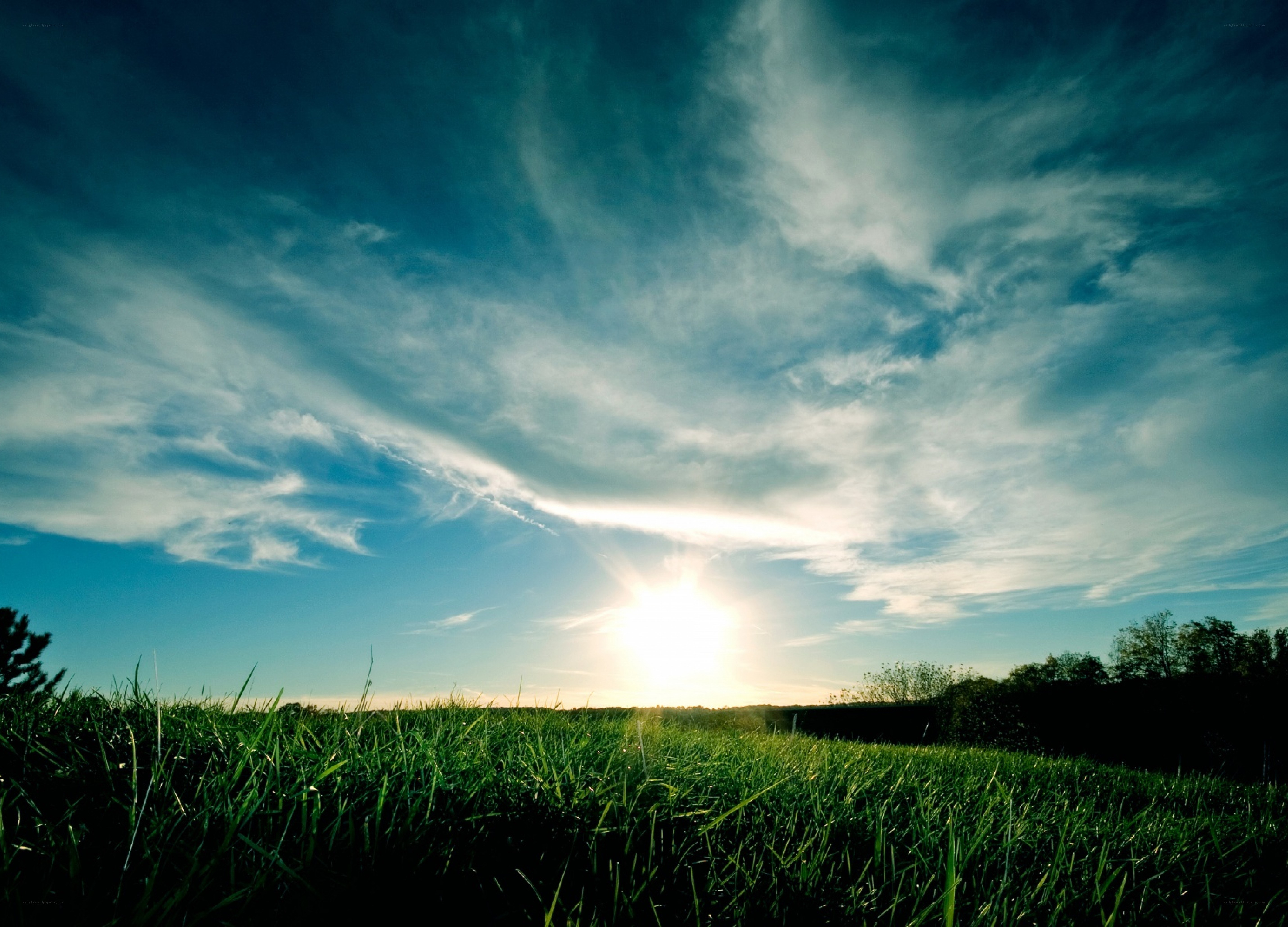 Sunset over a green field