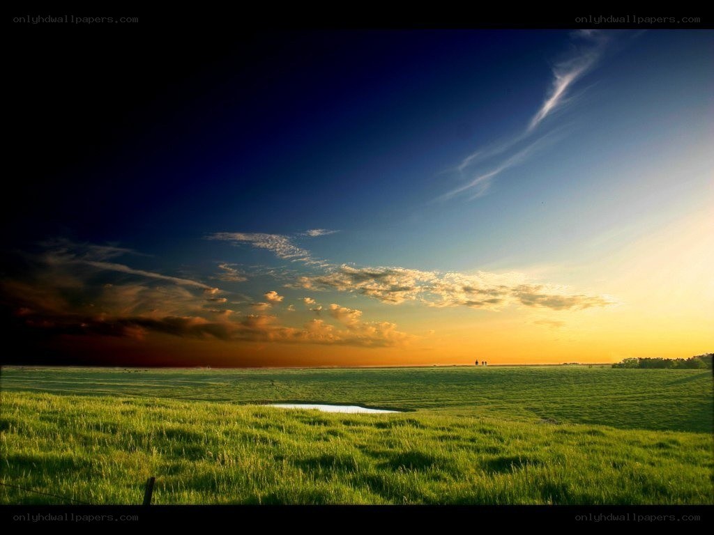 Sunset over a green field