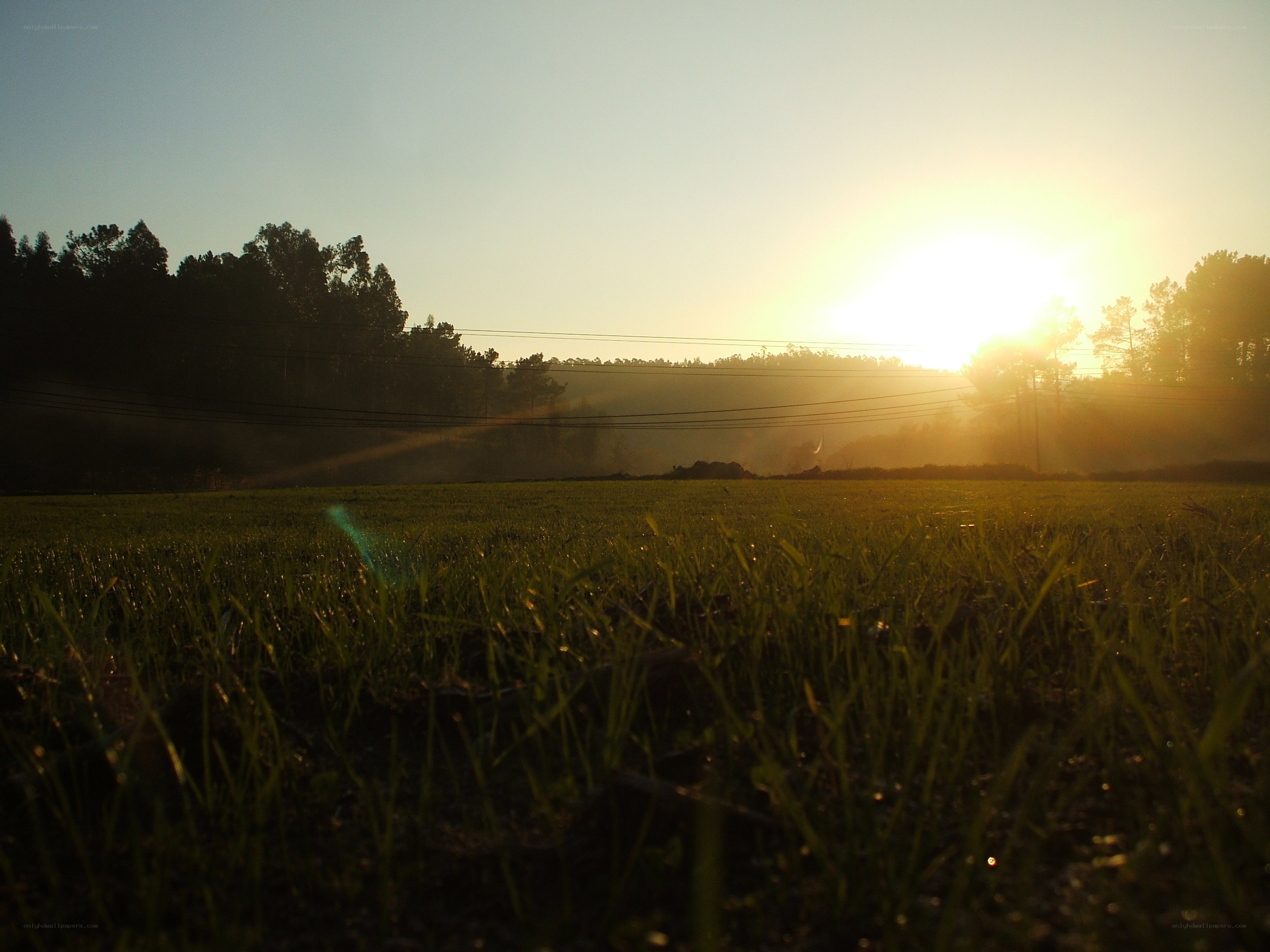 Sunset over a green field