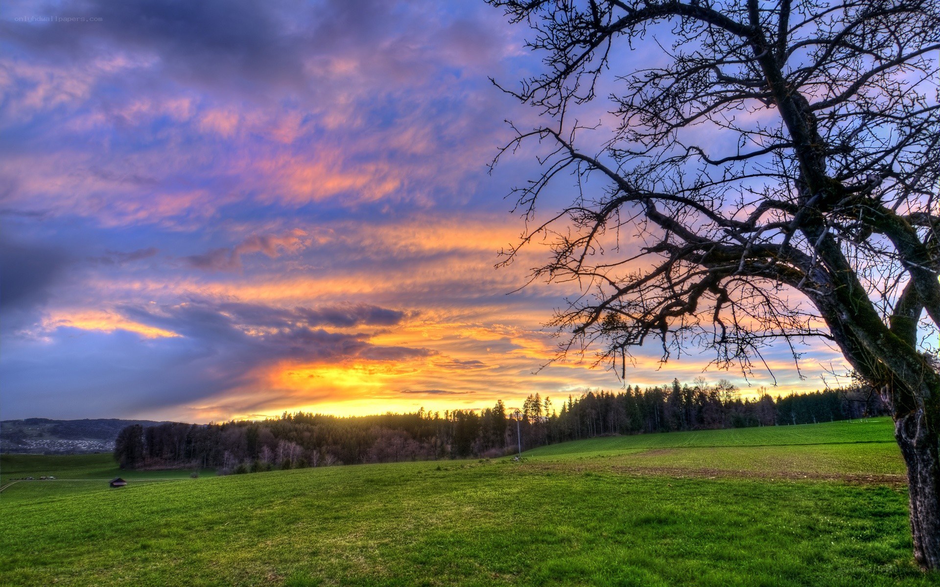 Sunset over a green field