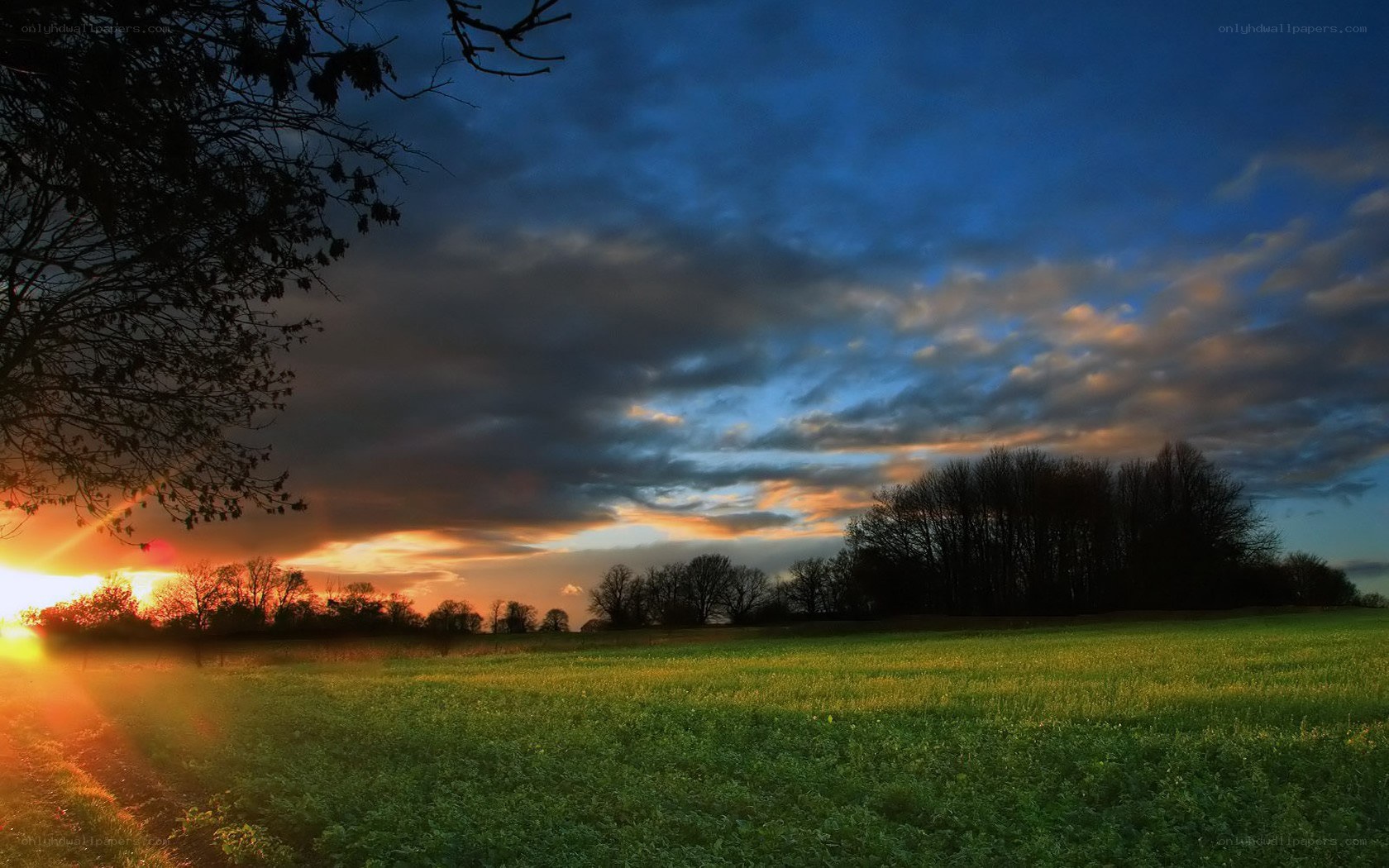 Sunset over a green field