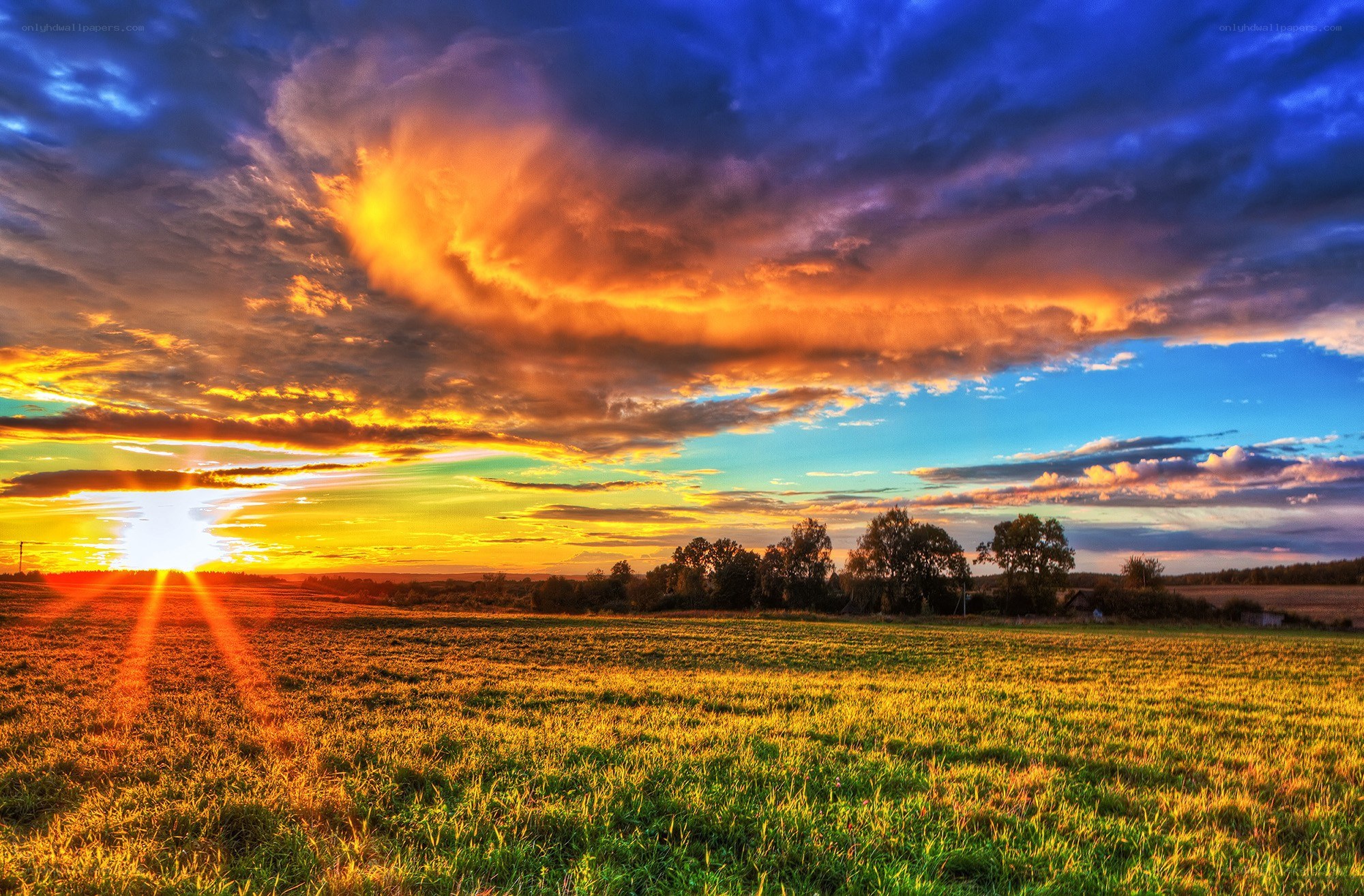 Sunset over a green field