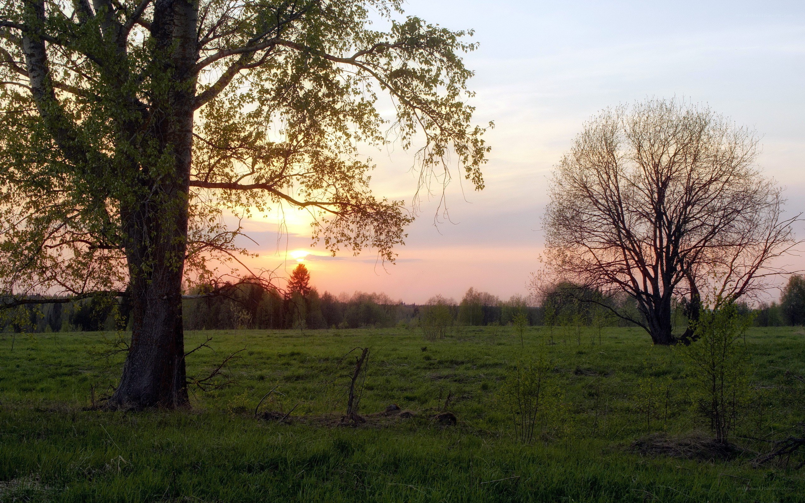 Sunset over a green field