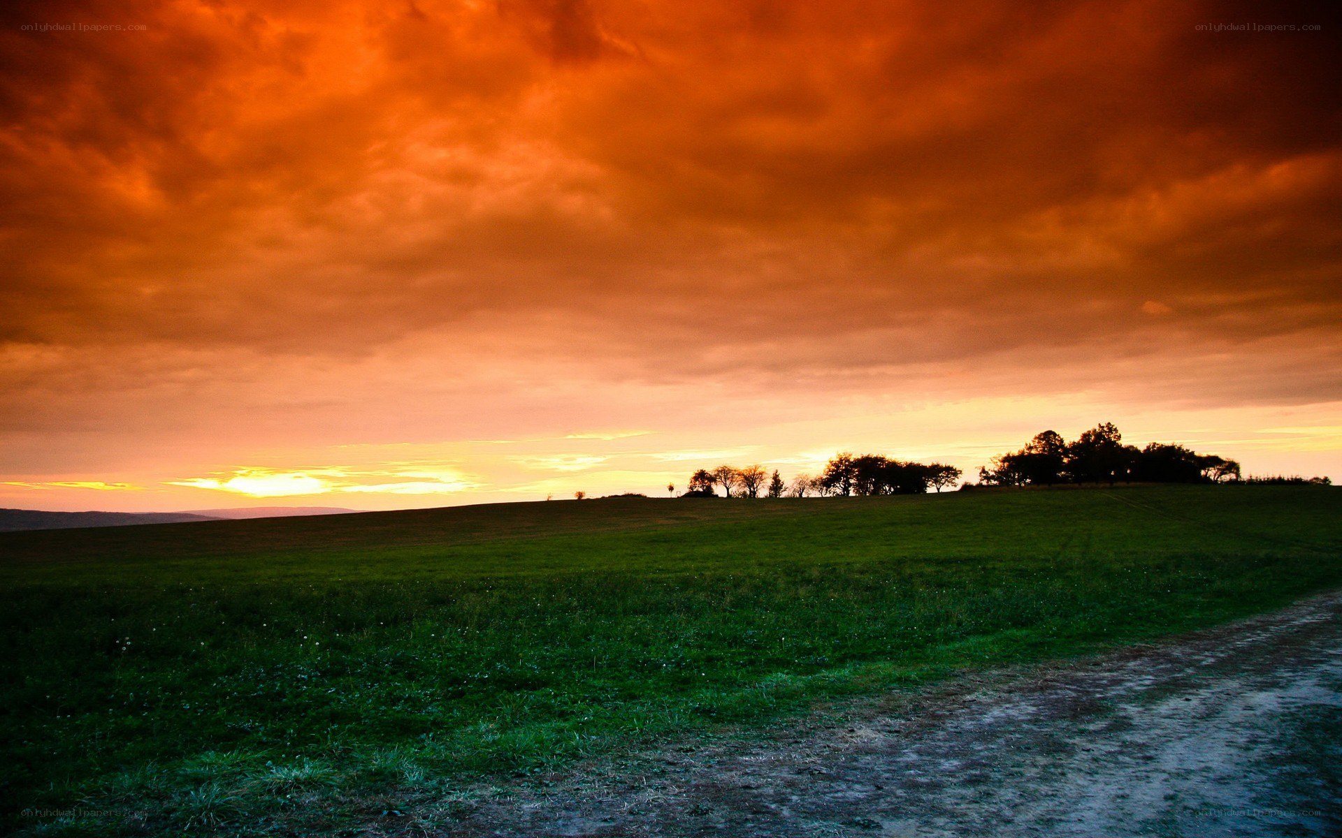 Sunset over a green field