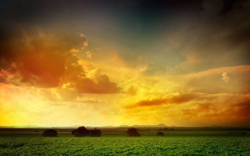 Sunset over a green field