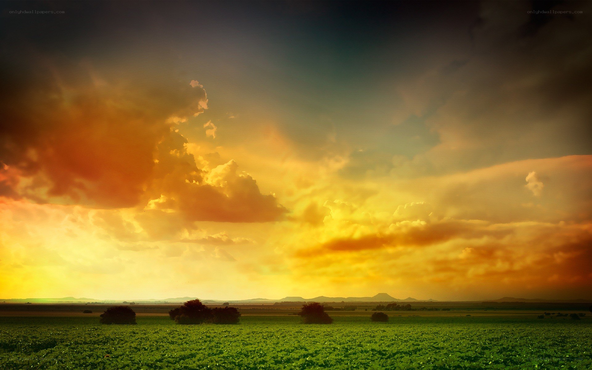 Sunset over a green field