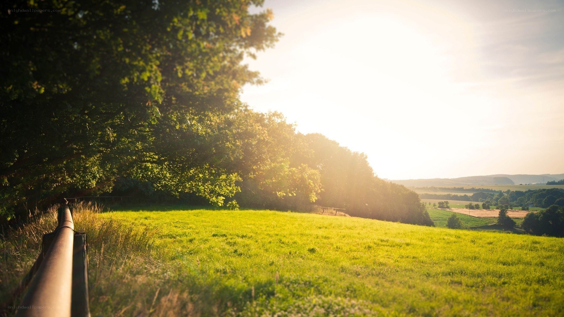 Sunset over a green field