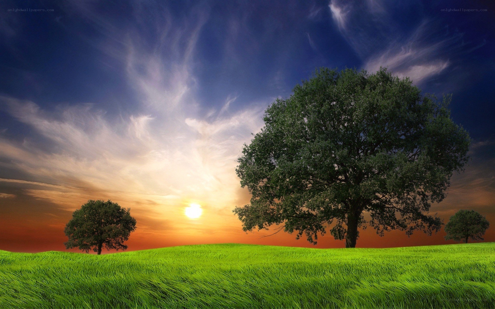 Sunset over a green field