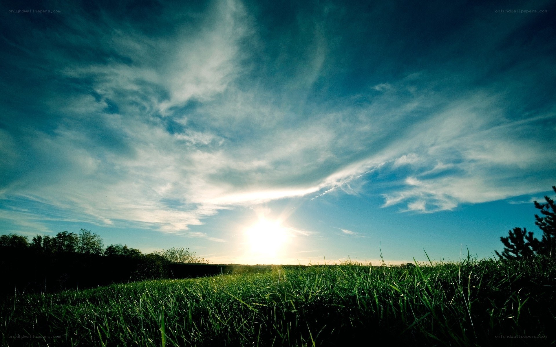 Sunset over a green field