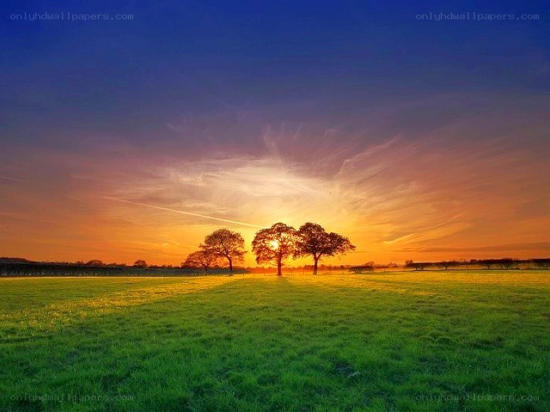 Sunset over a green field