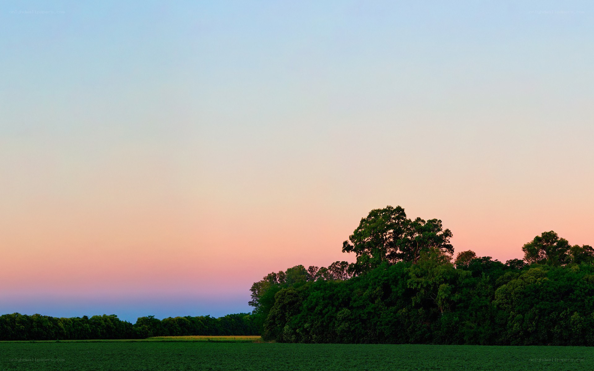 sunset over a green field