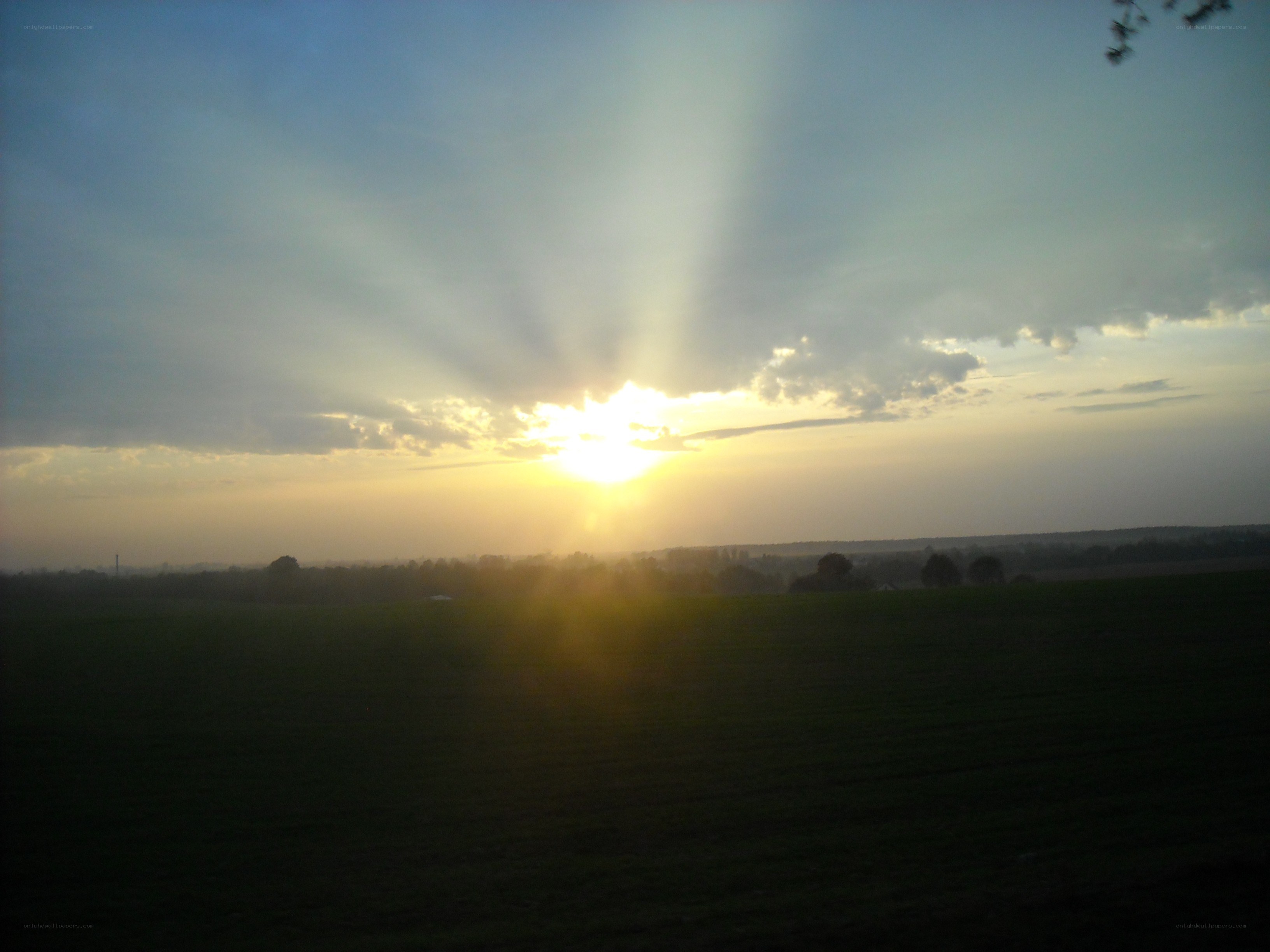 Sunset over a green field