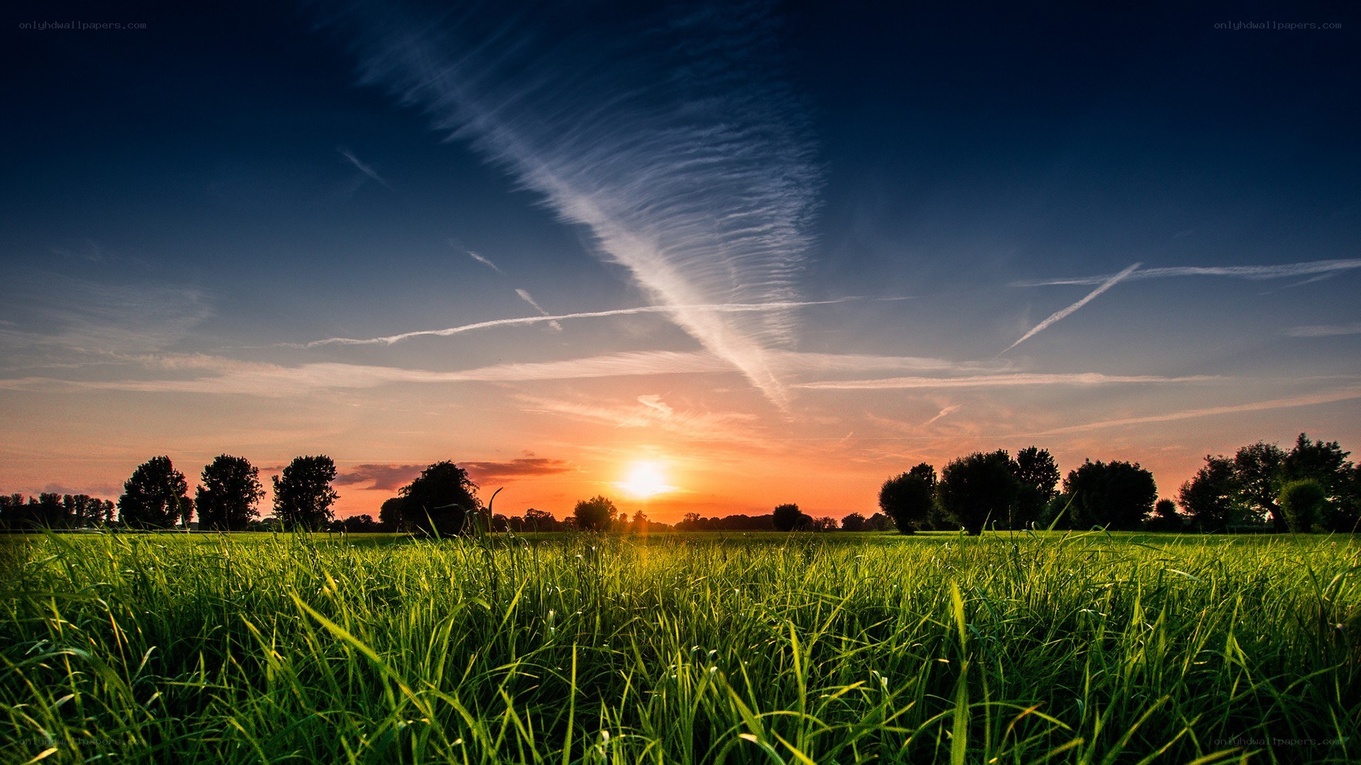 Sunset over a green field