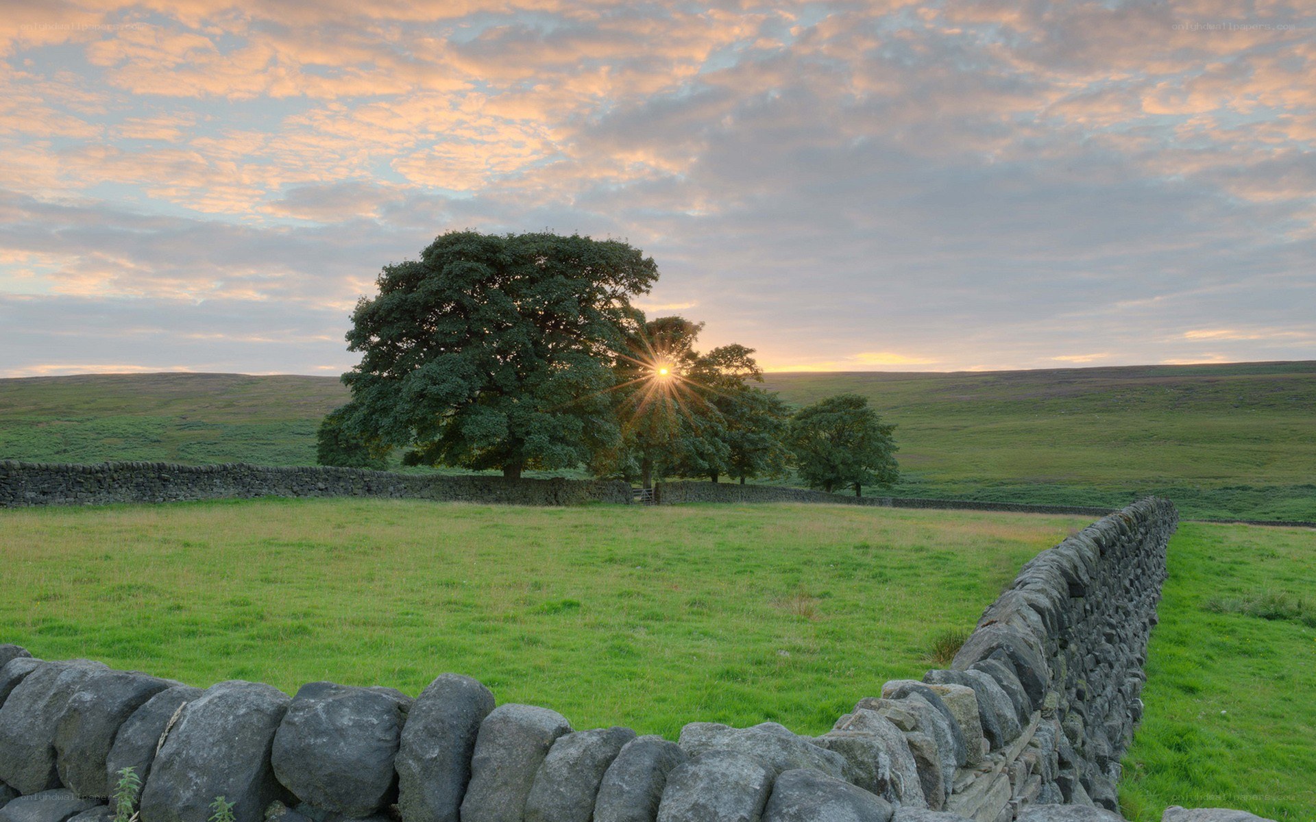 Sunset over a green field