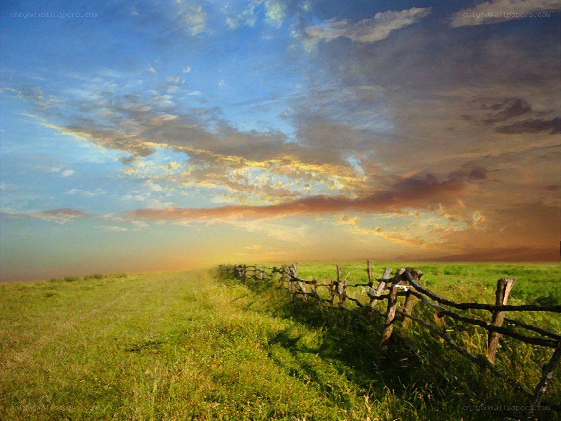 Sunset over a green field