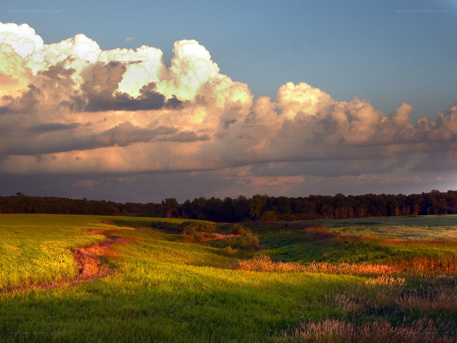 Sunset over a green field