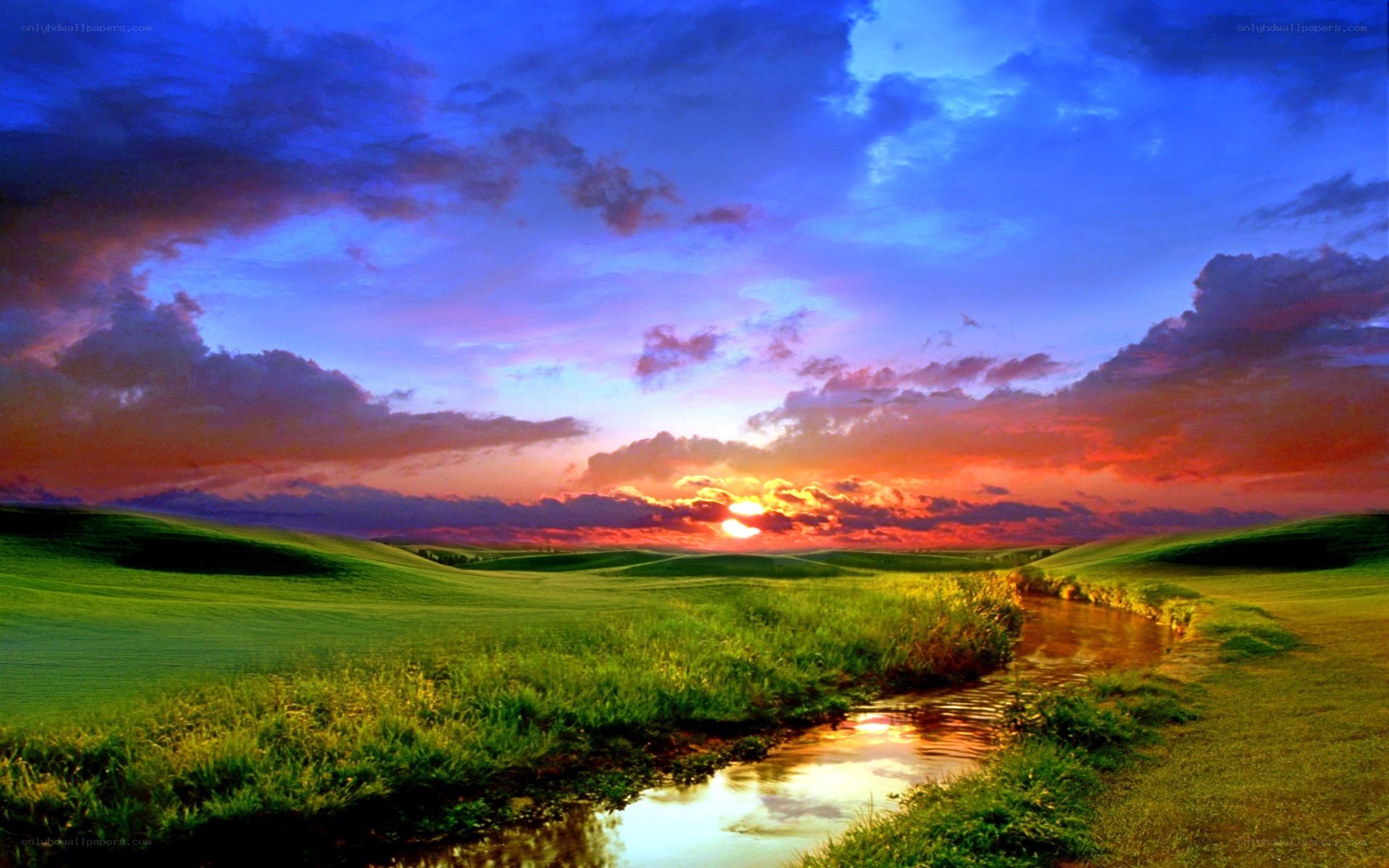 Sunset over a green field