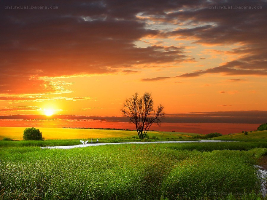 Sunset over a green field