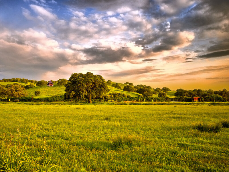 Sunset over a green field
