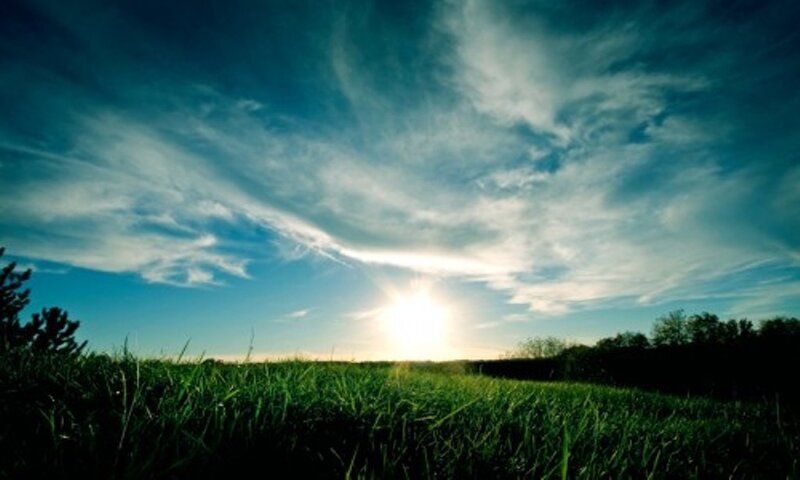 Sunset over a green field