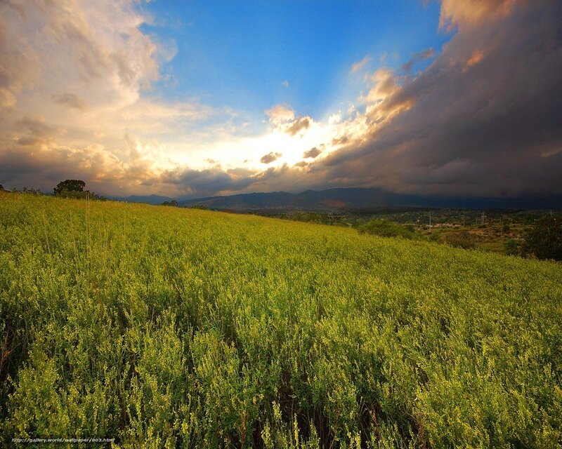 Sunset over a green field