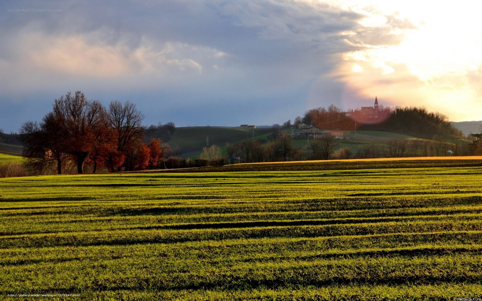 Sunset over a green field