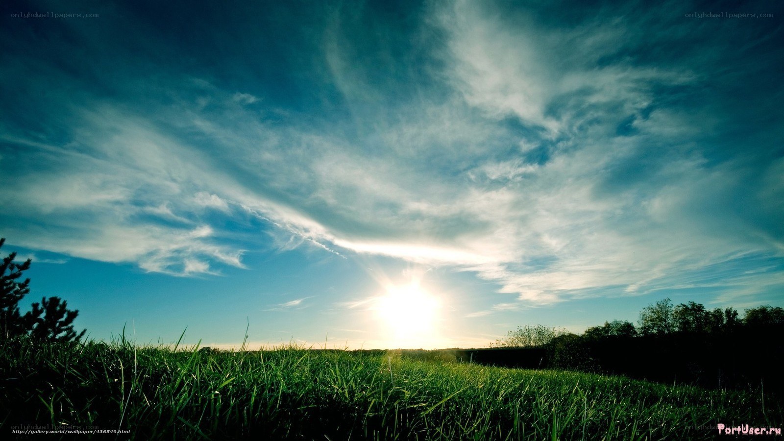 Sunset over a green field