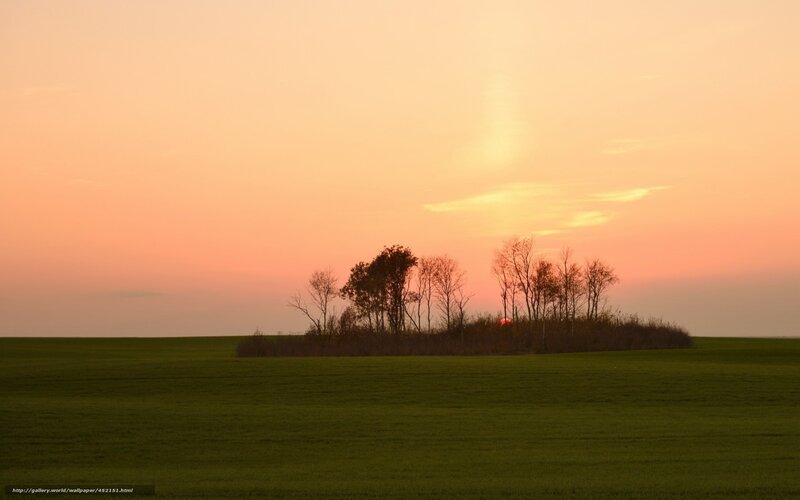 Sunset over a green field