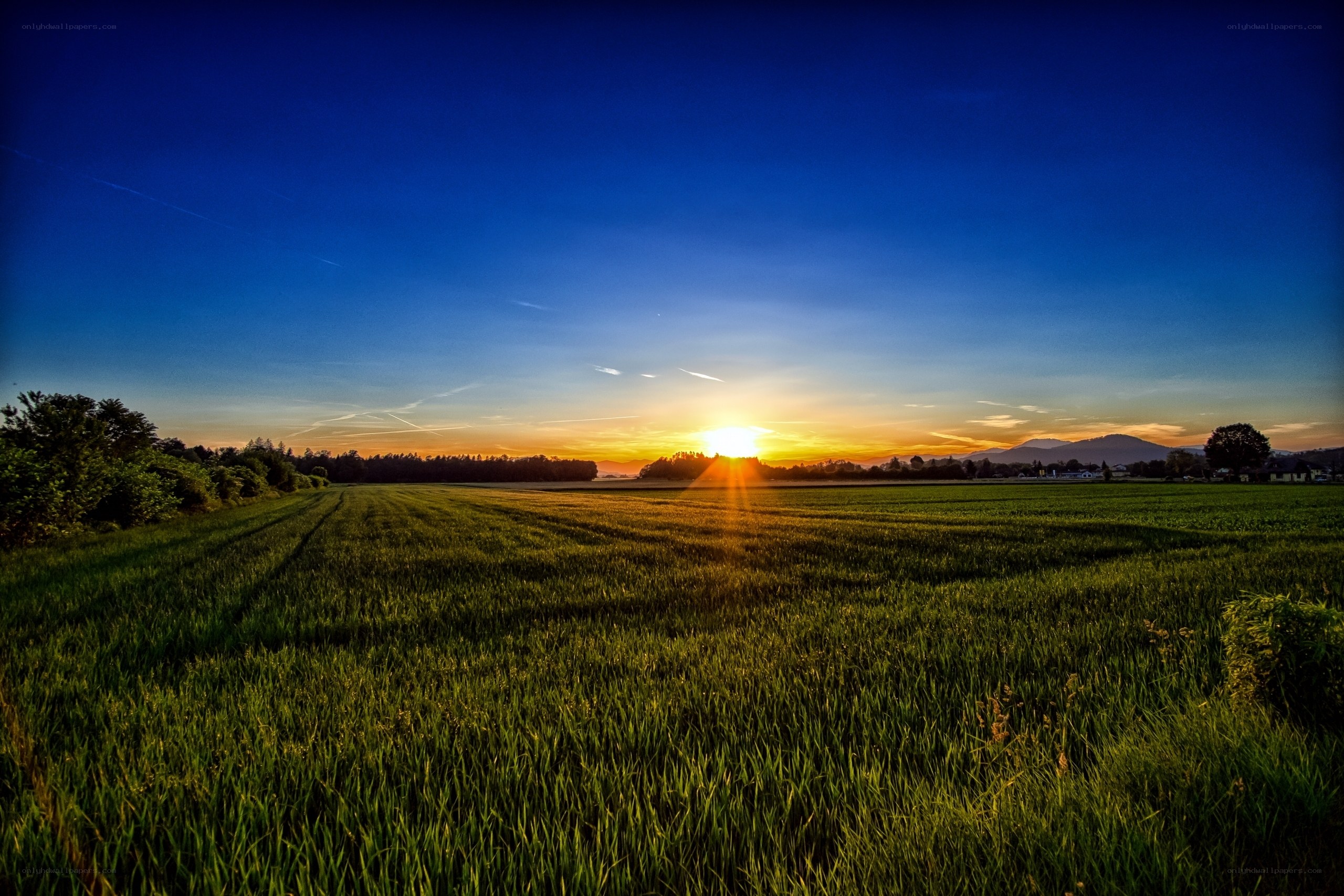 Sunset over a green field