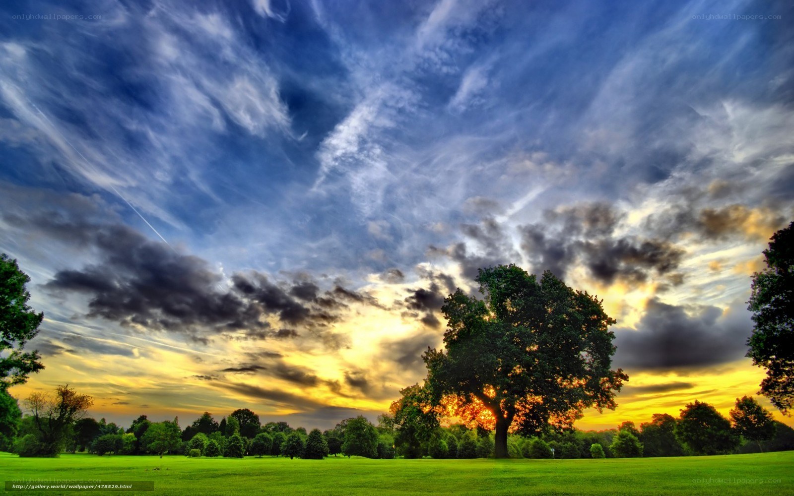 Sunset over a green field