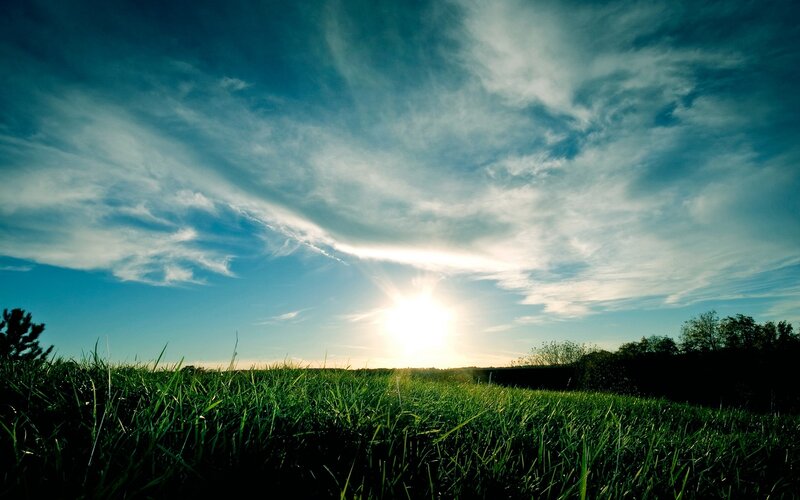 Sunset over a green field