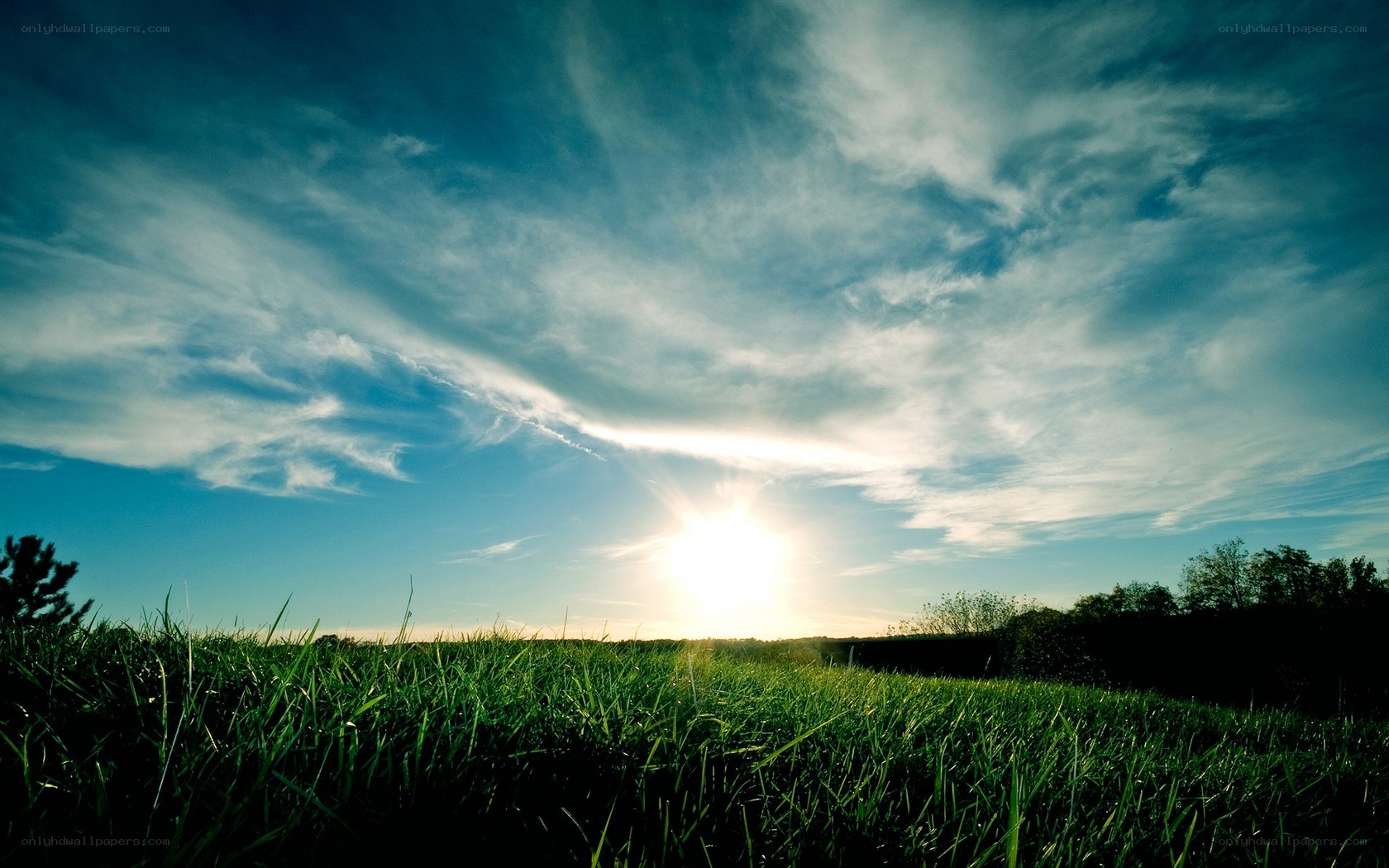 Sunset over a green field