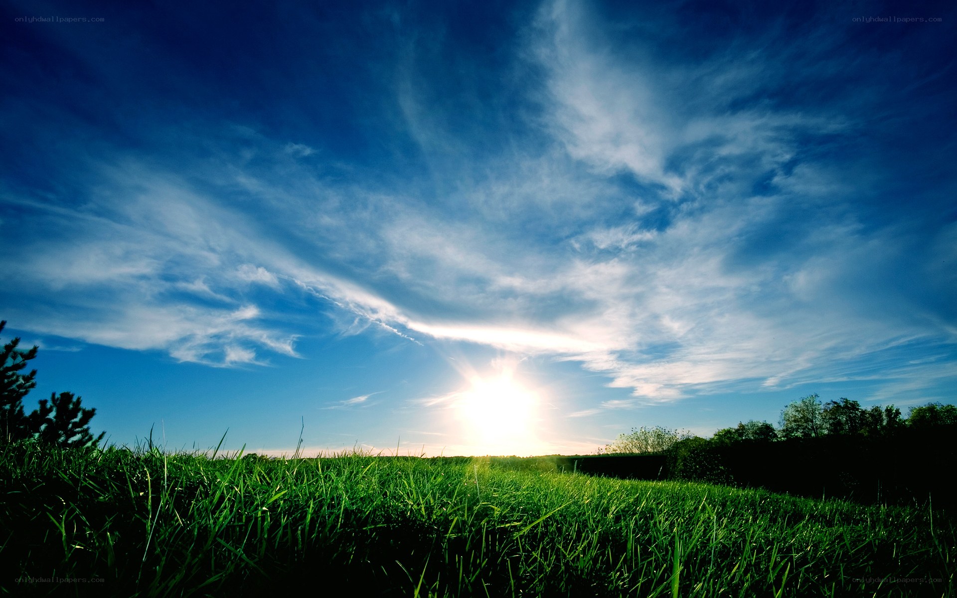 Sunset over a green field