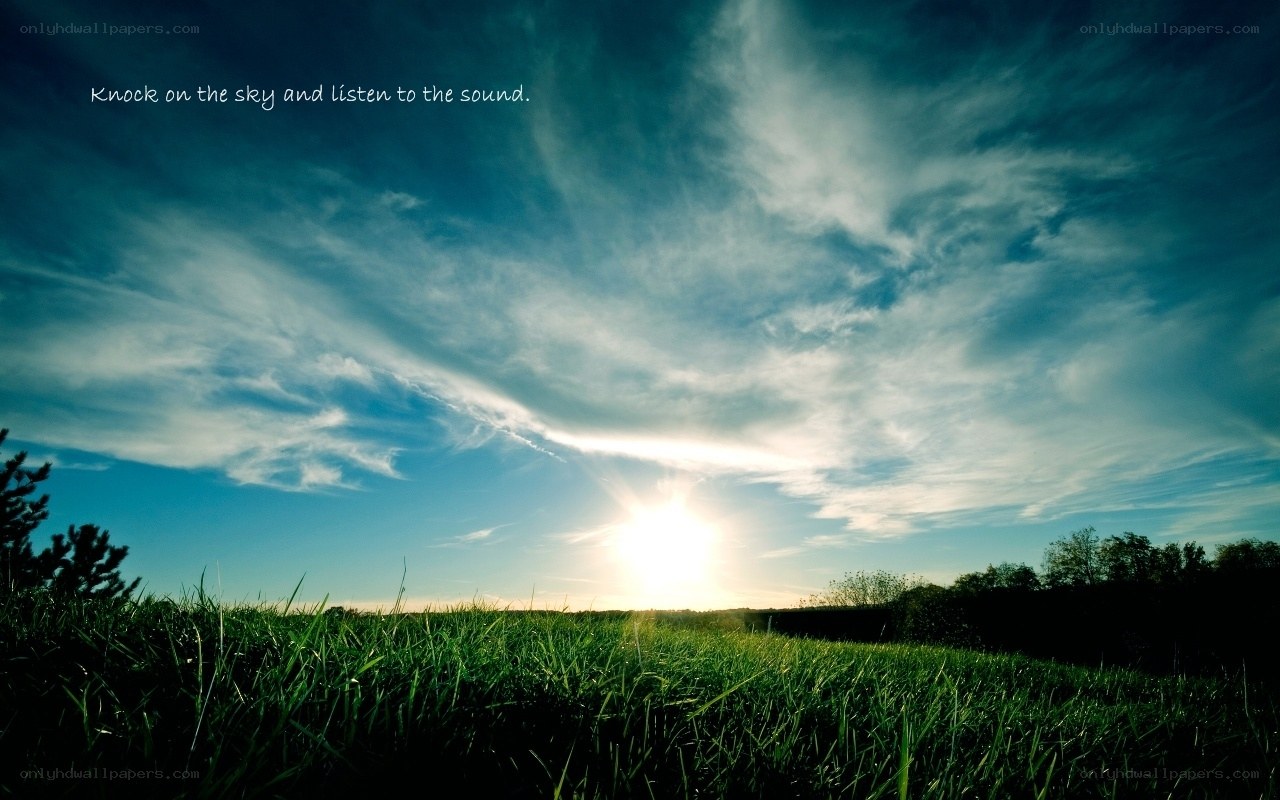 Sunset over a green field