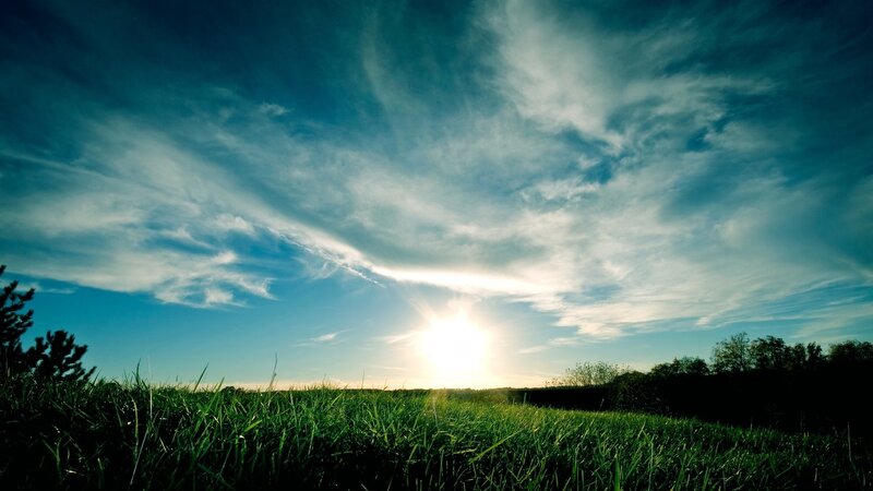 Sunset over a green field