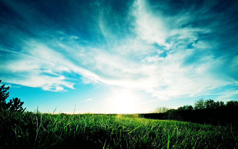 Sunset over a green field