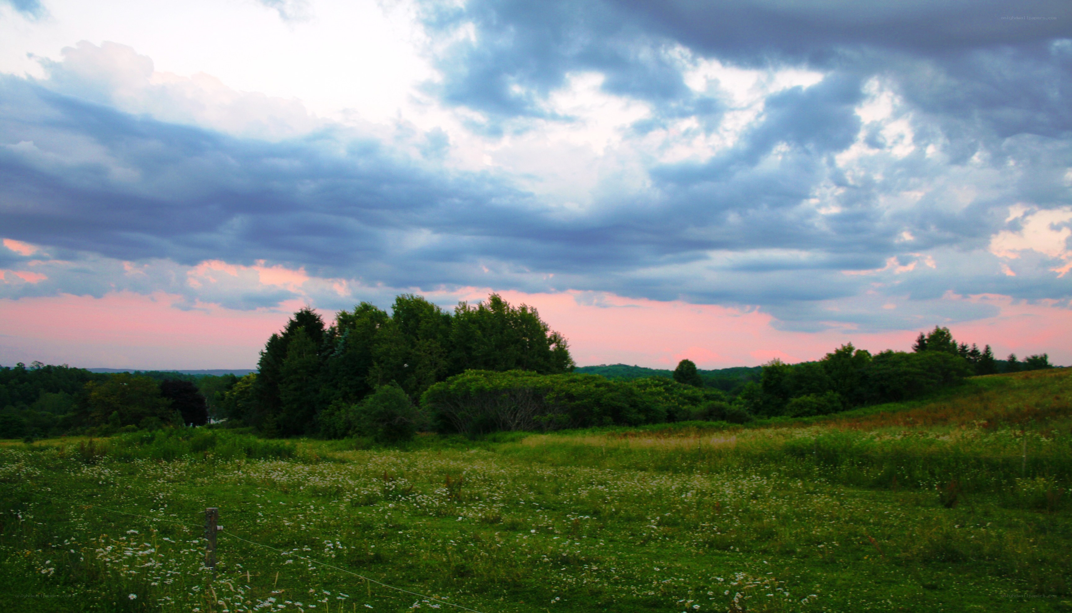 Sunset over a green field