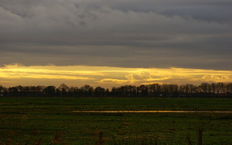 sunset over a green field