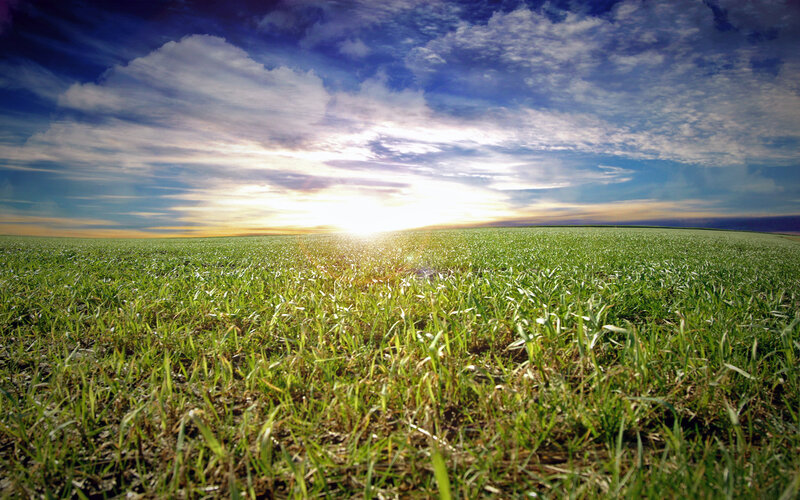 Sunset over a green field