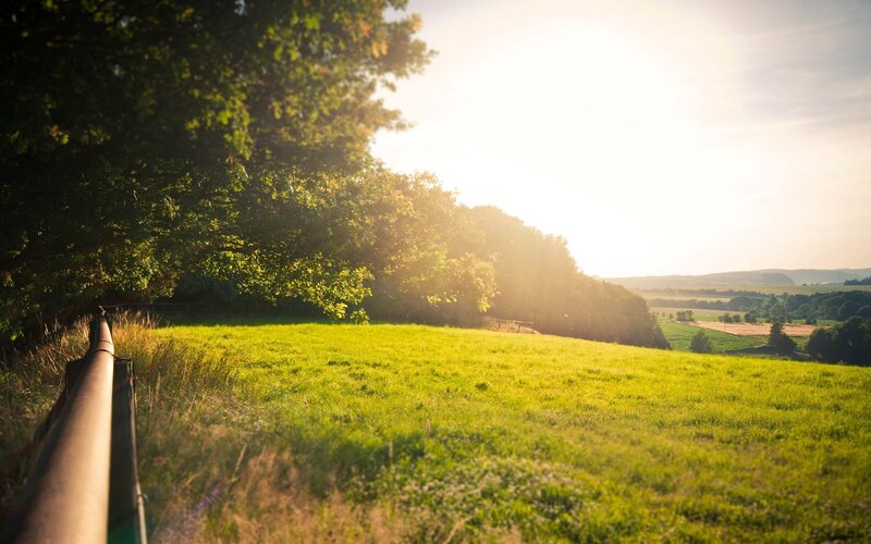 Sunset over a green field