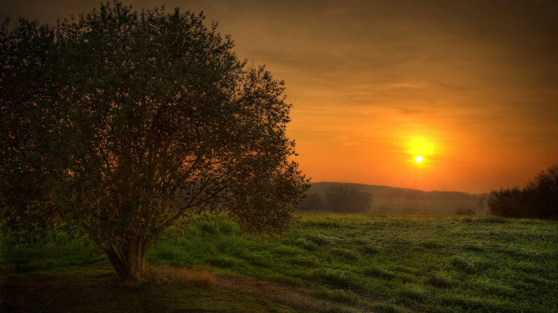 Sunset over a green field