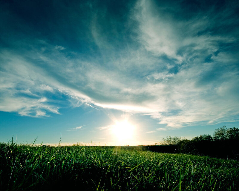 Sunset over a green field