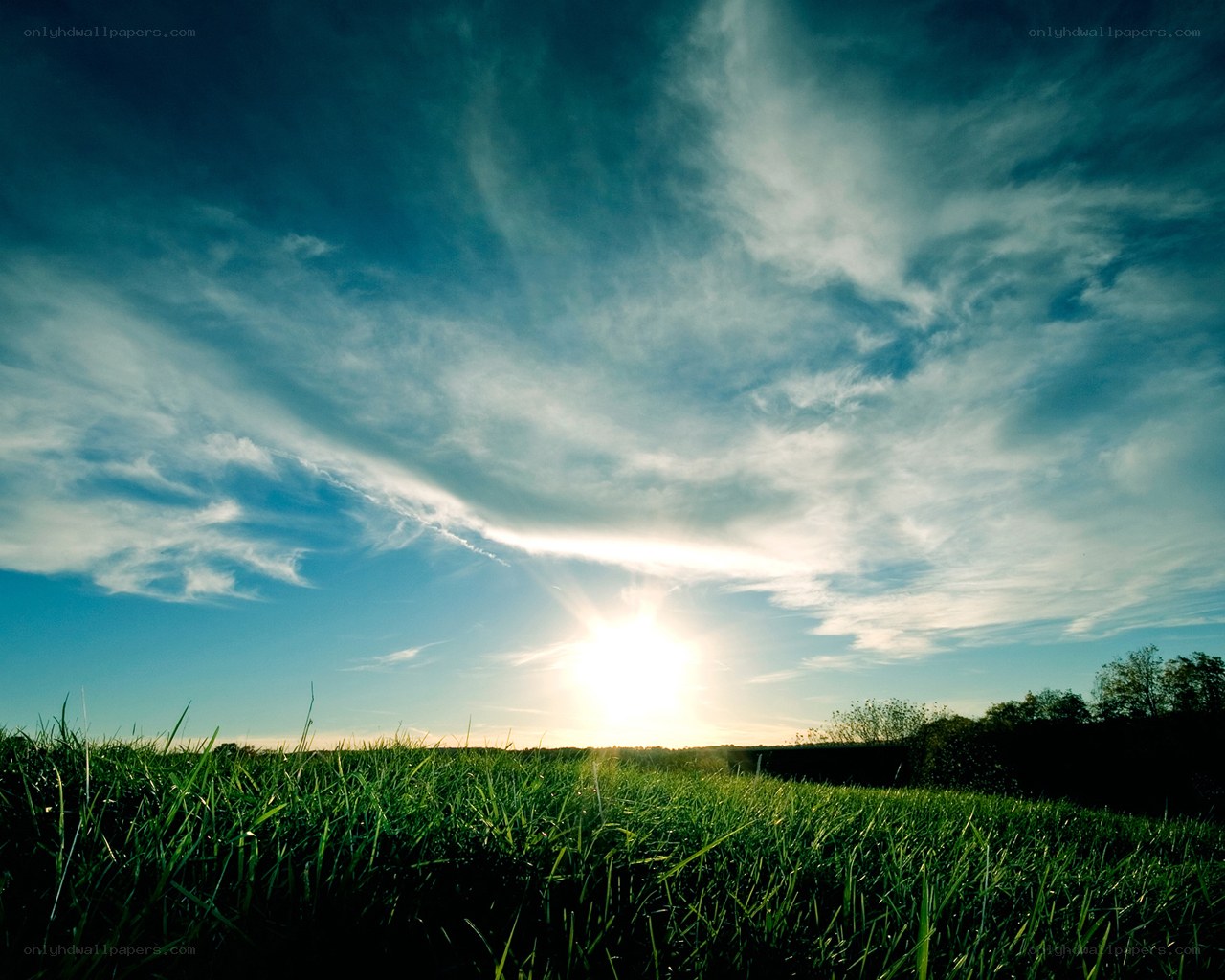 Sunset over a green field