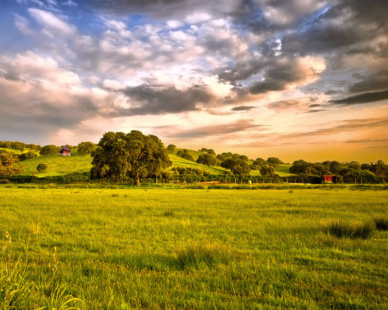 Sunset over a green field