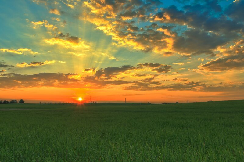 Sunset over a green field